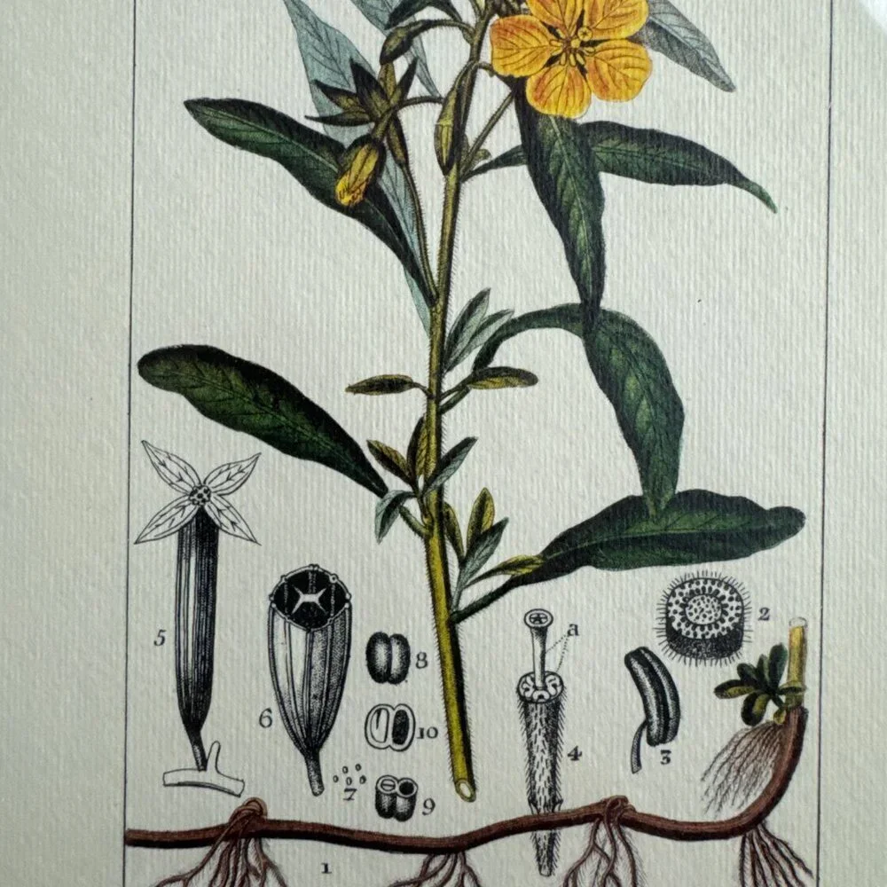 N/A vintage reproduction